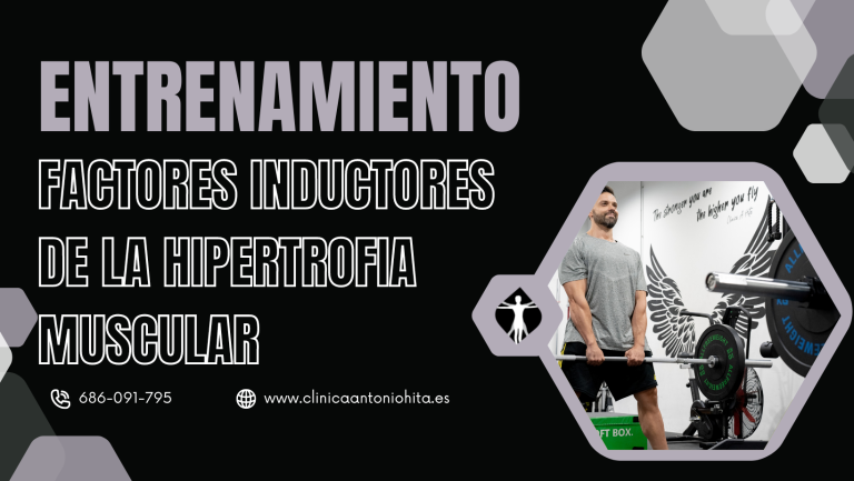 entrenamiento hipertrofia